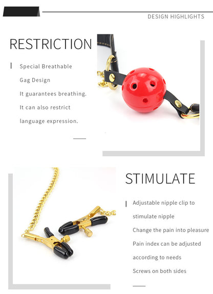 Ball Gag and Adjustable Clamps