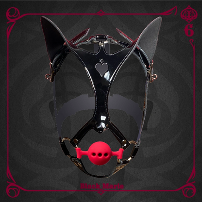 Leather Canine Cat Mask with Silicone Ball Gag and Ears Hood