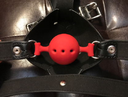 Leather Canine Dog Mask with Silicone Ball Gag and Ears Hood